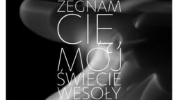 Tomaszów Lubelski. Kino za darmo. Projekcja w plenerze