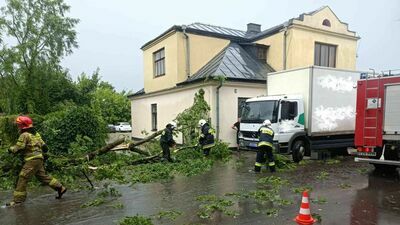 Poniedziałkowe wichury "zafundowały" zamojskim strażakom kilka godzin intensywnych działań