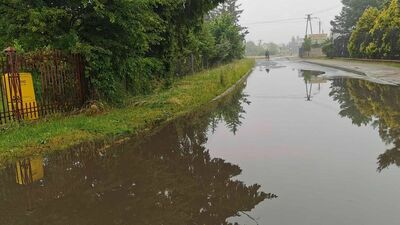 Zastoisko wody przy ulicy Grzybowej