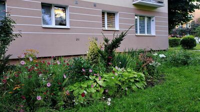 W Zamościu nie brakuje osób, którym estetyka otoczenia leży na sercu. To widać m.in. na spółdzielczych osiedlach, gdzie prawie pod każdym blokiem są aranżowane przez mieszkańców ogródki.