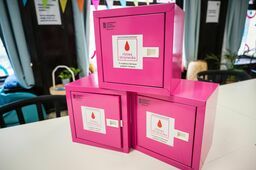 50 różowych skrzyneczek trafi do lubelskich szkół