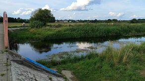 Rzeka Krzna w Białej Podlaskiej 