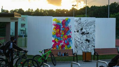 Ścianki na puławskim skateparku ozdobią jedni z najlepszych twórców murali, grafik i obrazów w kraju