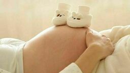 Biała Podlaska dołoży parom do procedury in vitro? Miasto na ten cel chce przeznaczyć 354 tys. zł 