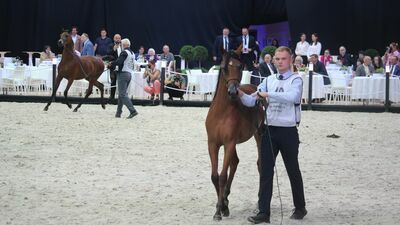 Minister rolnictwa w Janowie Podlaskim: Stadninie potrzebni są fachowcy i stabilność