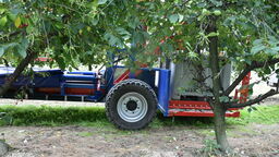 Nieszczęśliwy wypadek przy zbiorze wiśni 