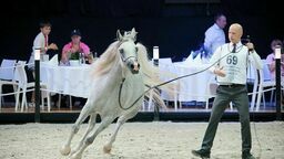 Pokaz przed Pride of Poland 2023