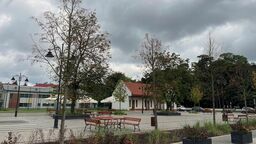 Miasto wycięło stare drzewa i posadziło 6-metrowe lipy. Mieszkańcy: „One usychają!” 