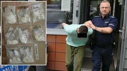 Narkotykowy diler trafił za kratki