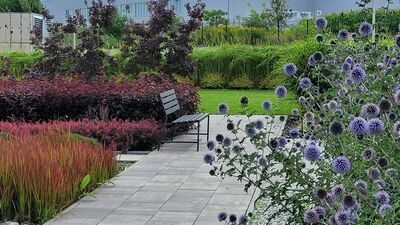 Zaciszny i bujny ogród dla pracowników (dostępny też dla gości) na tyłach zabudowań firmy Modern Expo na ul. Spiessa