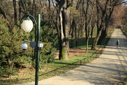 Miasto ogłasza przetarg na wymianę kamer w Ogrodzie Saskim