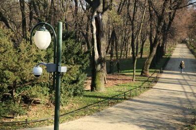 Miasto ogłasza przetarg na wymianę kamer w Ogrodzie Saskim