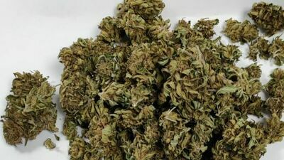 Nerwowy diler miał przy sobie amfetaminę i marihuanę 