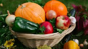 Złota jesień na talerzu. 10 sprawdzonych przepisów