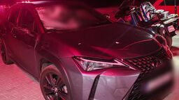 Kierowca lexusa nie odniósł obrażeń. Niestety, łoś nie przeżył zderzenia z autem