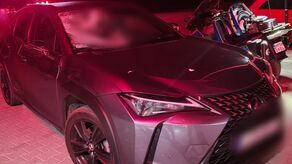 Kierowca lexusa nie odniósł obrażeń. Niestety, łoś nie przeżył zderzenia z autem