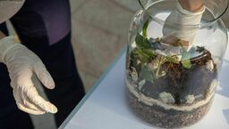 Zabawy Praktyczne i Twórcze w Warsztatach Kultury 