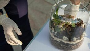 Zabawy Praktyczne i Twórcze w Warsztatach Kultury 