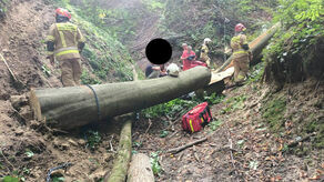Do tragicznego wypadku doszło podczas wycinki drzew