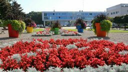 Kolorowe donice kwietne na Placu Chopina to jeden ze zwycięskich projektów ostatniego budżetu obywatelskiego. Głosowanie na nowe propozycje trwa