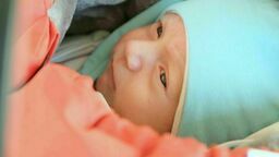 Program in vitro. Miasto szuka podmiotu do hodowli zarodków 