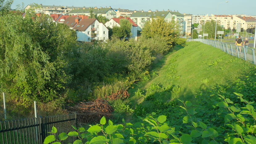 Skwer ma powstać na zielonym terenie między ulicami Węglarza, Jagodową i Bazylianówka