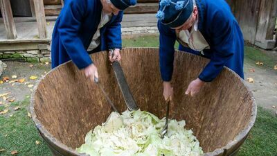 Obieraczki kapuściane w Muzeum Wsi Lubelskiej