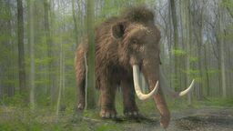 Puławska epoka lodowcowa. Spacer śladami łowców mamutów