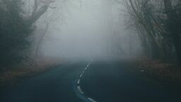 Uwaga, województwo lubelskie spowiła gęsta mgła