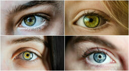 Światowy Dzień Wzroku 2023. Czy na pewno dbasz o ten najważniejszy ze zmysłów?