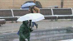 Weekend pod znakiem opadów deszczu i parasoli. Alert dla województwa lubelskiego