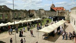 Zamek w Janowcu podczas tegorocznego Święta Wina