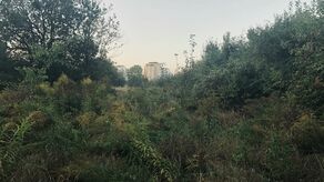 Zgody na budowę przy ul. Wyszyńskiego w trybie lex deweloper rada odmawiała nie tylko PRBUD Development, ale również dwukrotnie podległemu miastu Towarzystwu Budownictwa Społecznego. Nie jest tajemnicą, że sedno sporu stanowi zamiana działek dokonana między prywatną, a miejską spółką. Radni uważają, że była niekorzystna. Nie wygląda na to, by jakakolwiek budowa miała się tutaj w najbliższym czasie rozpocząć