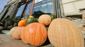 Dynie wyrosły na lubelskich ulicach, w powietrzu czuć jesień. Zobacz jak ozdobione jest miasto