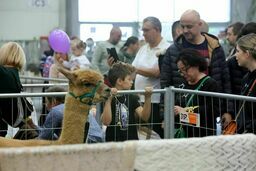 Lubelska wystawa zoologiczna ZOOPARK przyciągnęła tłumy miłośników zwierząt
