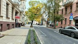 Róże i lipy zamiast kostki. Serce Lublina bije na zielono 