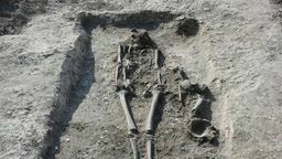 Lubelskie. Cmentarzysko w centrum miasta, o którym nikt nie wiedział 