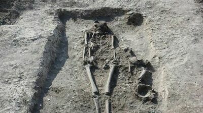 Lubelskie. Cmentarzysko w centrum miasta, o którym nikt nie wiedział 