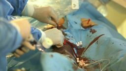 zdjęcie ilustracyjne