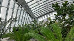 Miasto urządza oranżerię. Można przynieść kwiaty