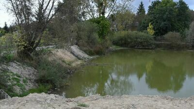 Do tragedii doszło w miejscowości Gródki Pierwsze