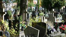 Większy ruch przy puławskich cmentarzach. Chryzantemy na ostatnią chwilę 