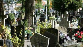 Większy ruch przy puławskich cmentarzach. Chryzantemy na ostatnią chwilę 