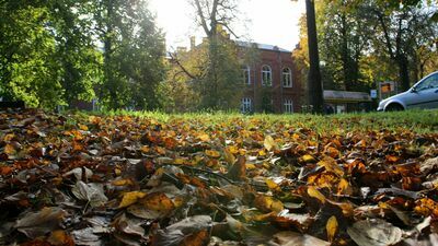 Puławy zachęcają do jesiennych spacerów. Zobacz jak jest pięknie