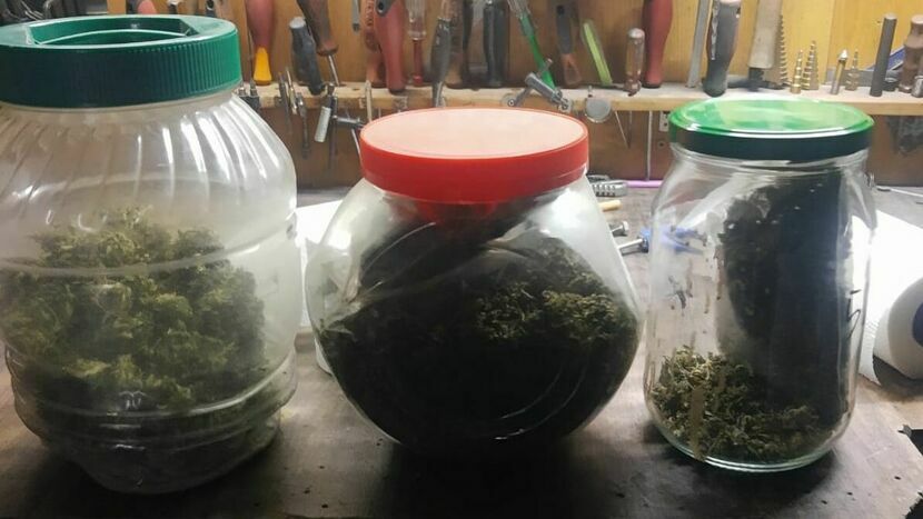 Policja przejęła całą marihuanę znalezioną w obejściu 33-latka