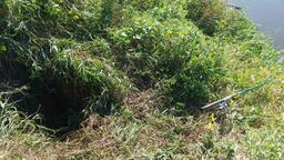 Dramatyczna historia. Bóbr wykopał dół, człowiek w nim zginął