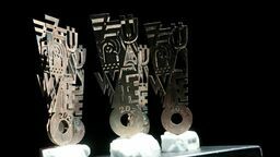 Żurawie "poleciały" do nagrodzonych. Poznaliśmy tegorocznych laureatów (Zdjęcia)