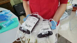 RCKiK zaprasza na listopadowe akcje terenowe