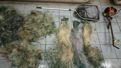 Kłusownicy złapani na gorącym uczynku