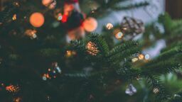 Jakie panują trendy w wyborze światełek na choinkę? Zapytaliśmy ekspertów Lumen Home!